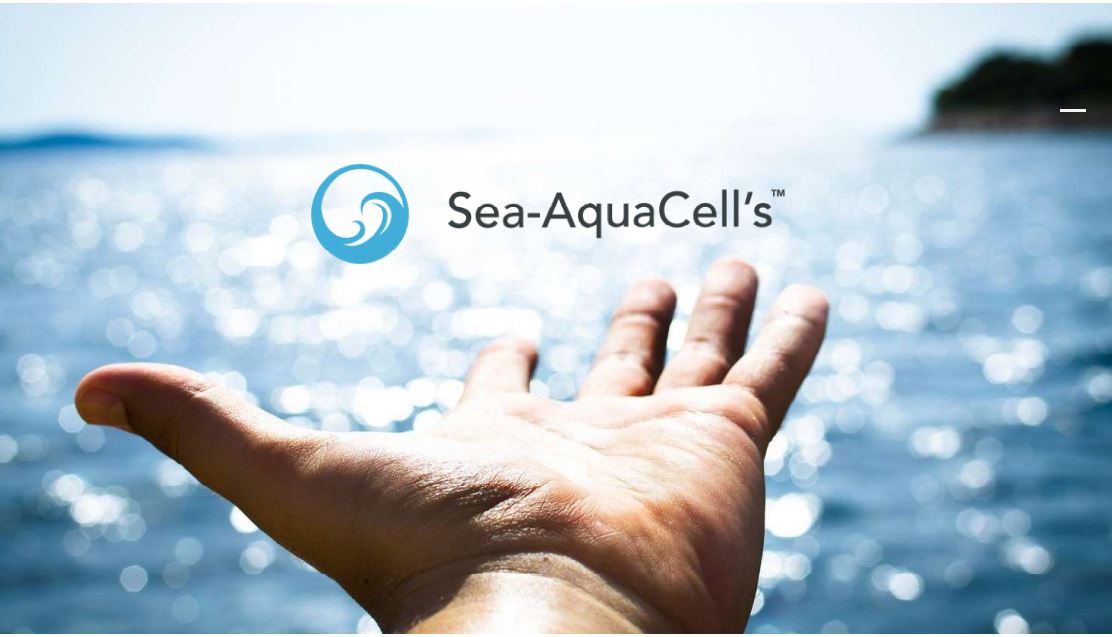 Pack Eau de mer hypertonique de Quinton Sea-AquaCell's 1L + 1 gourde en  verre 500ml